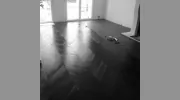 Deckboard Hardwood Flooring Centre Ltd
