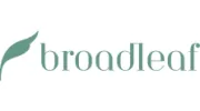 Broadleaf Timber