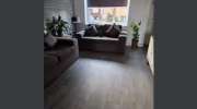 Universal Carpets