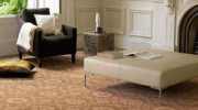 Carpet Gallery